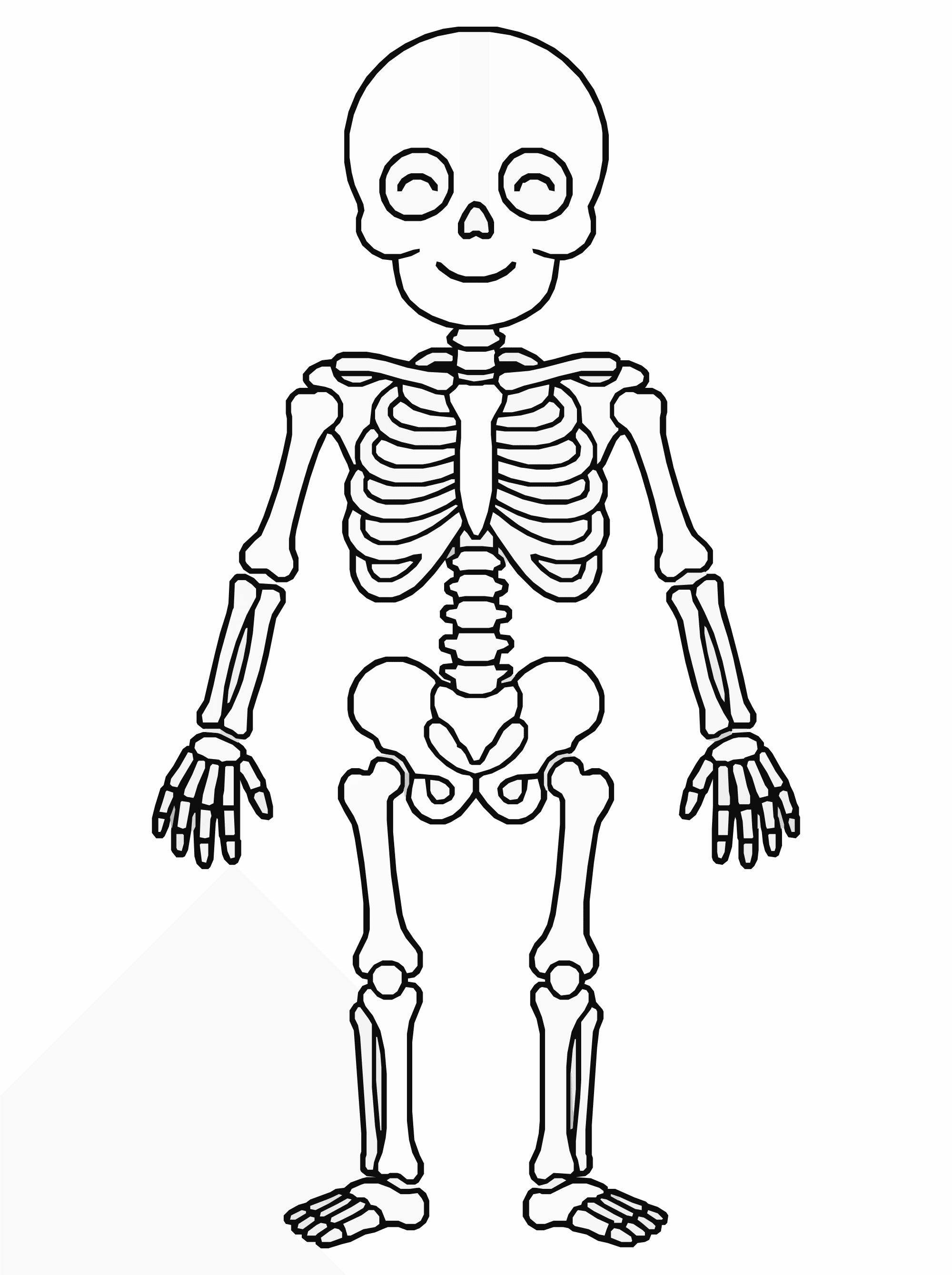 Human Skeleton Coloring Page – Kids Anatomy Learning Printable