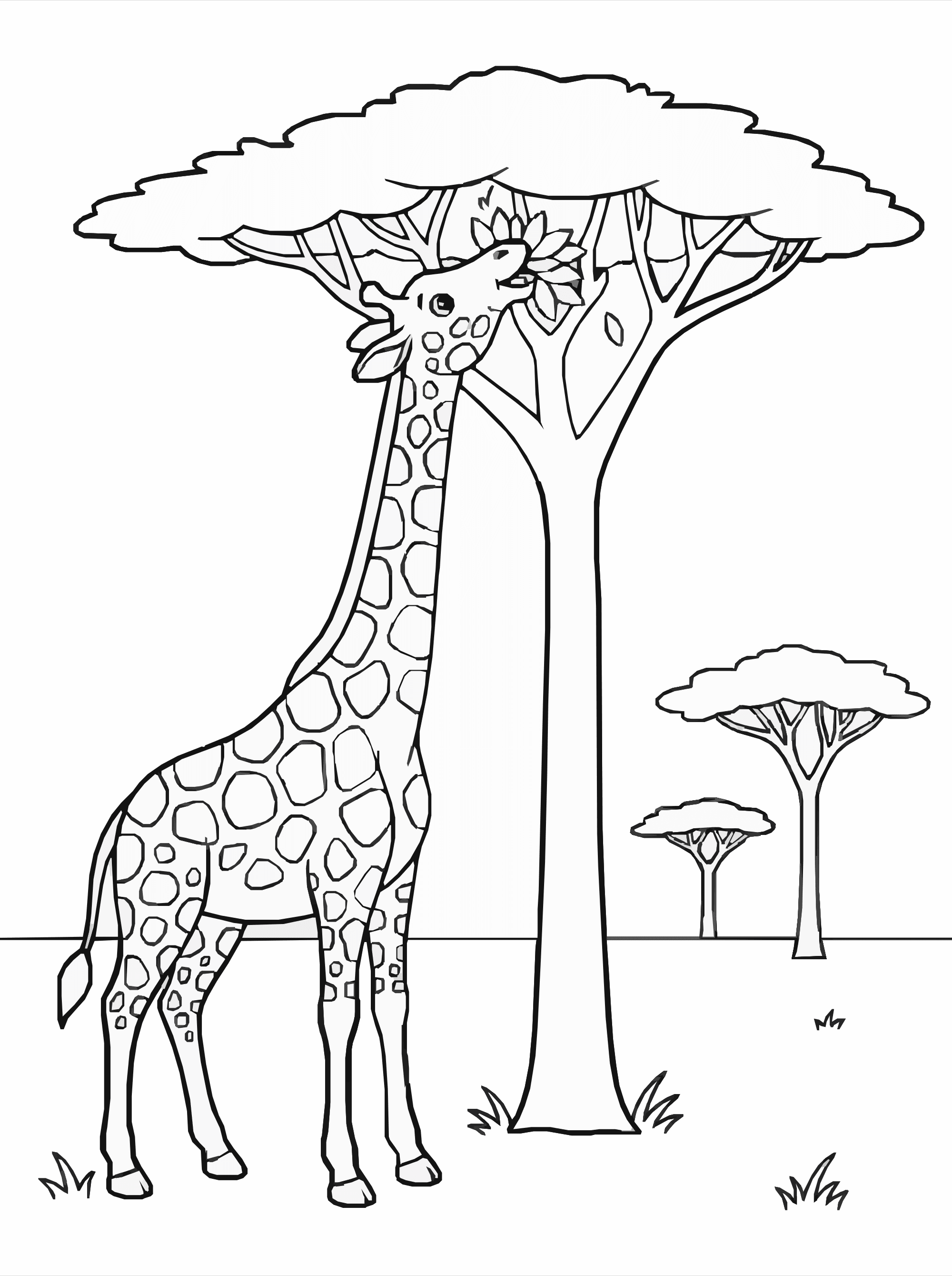 Giraffe Coloring Page – Tall Tree Snack Scene Printable