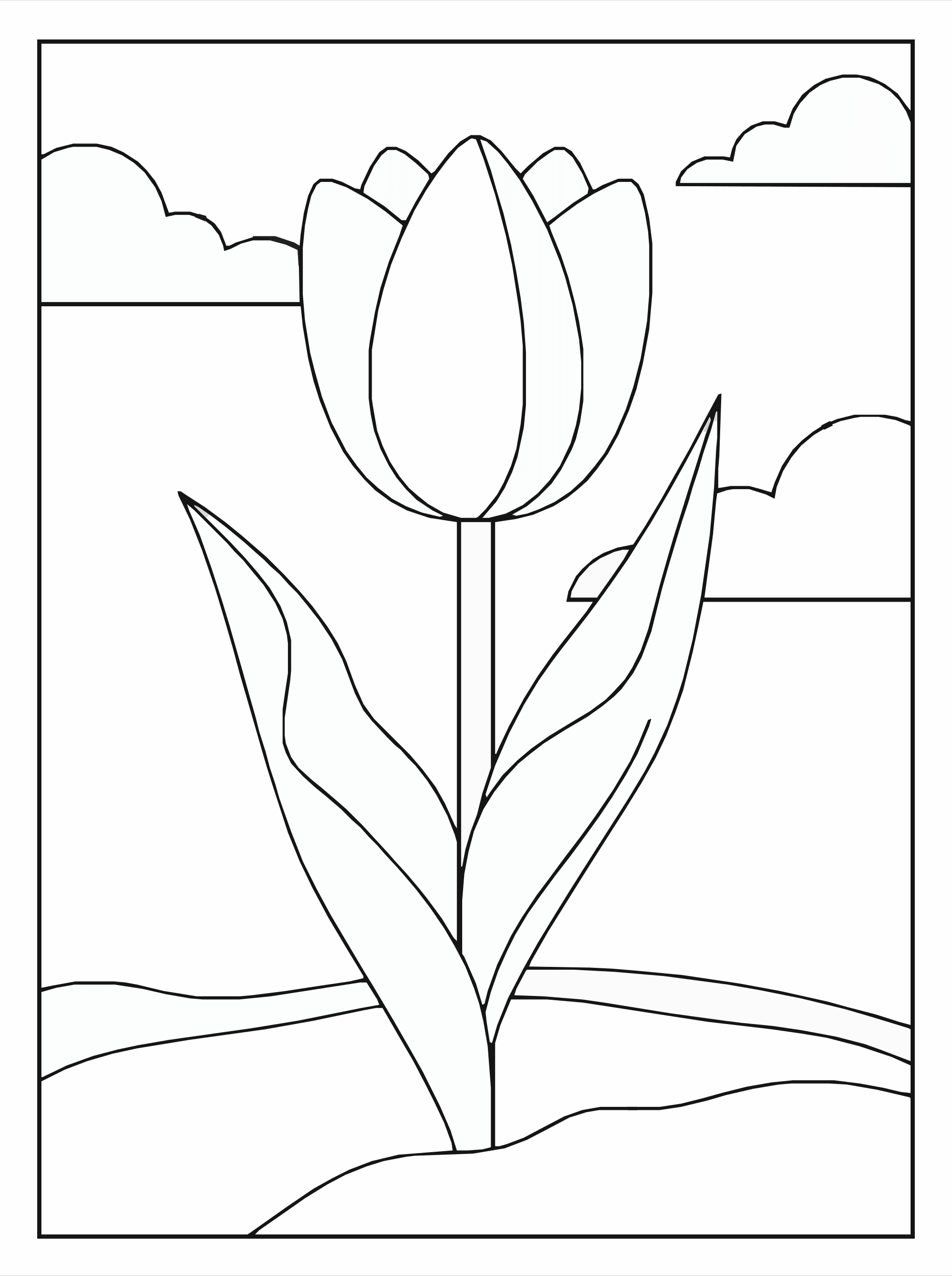 Tulip Flower Coloring Page