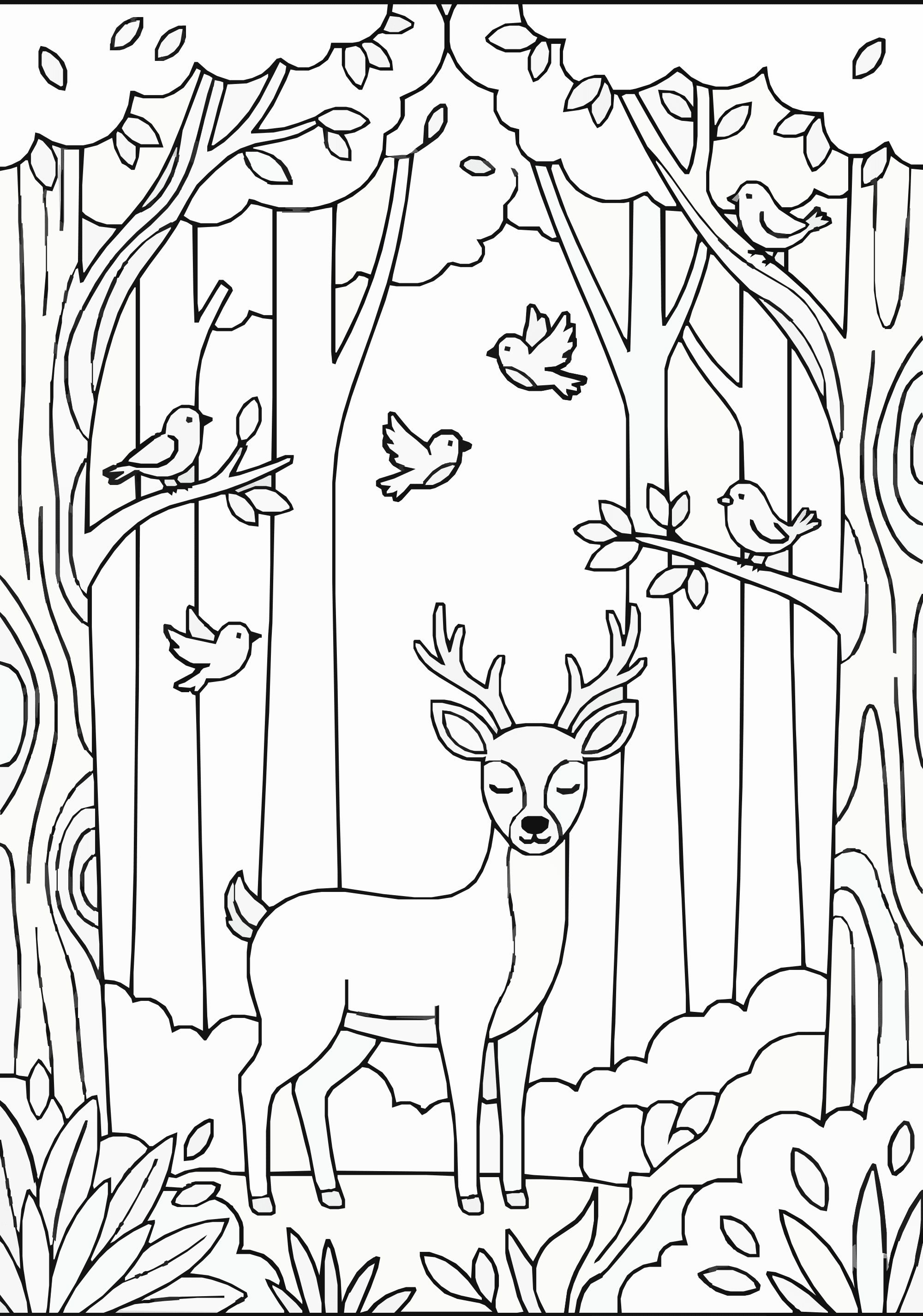 Forest Nature Coloring Page