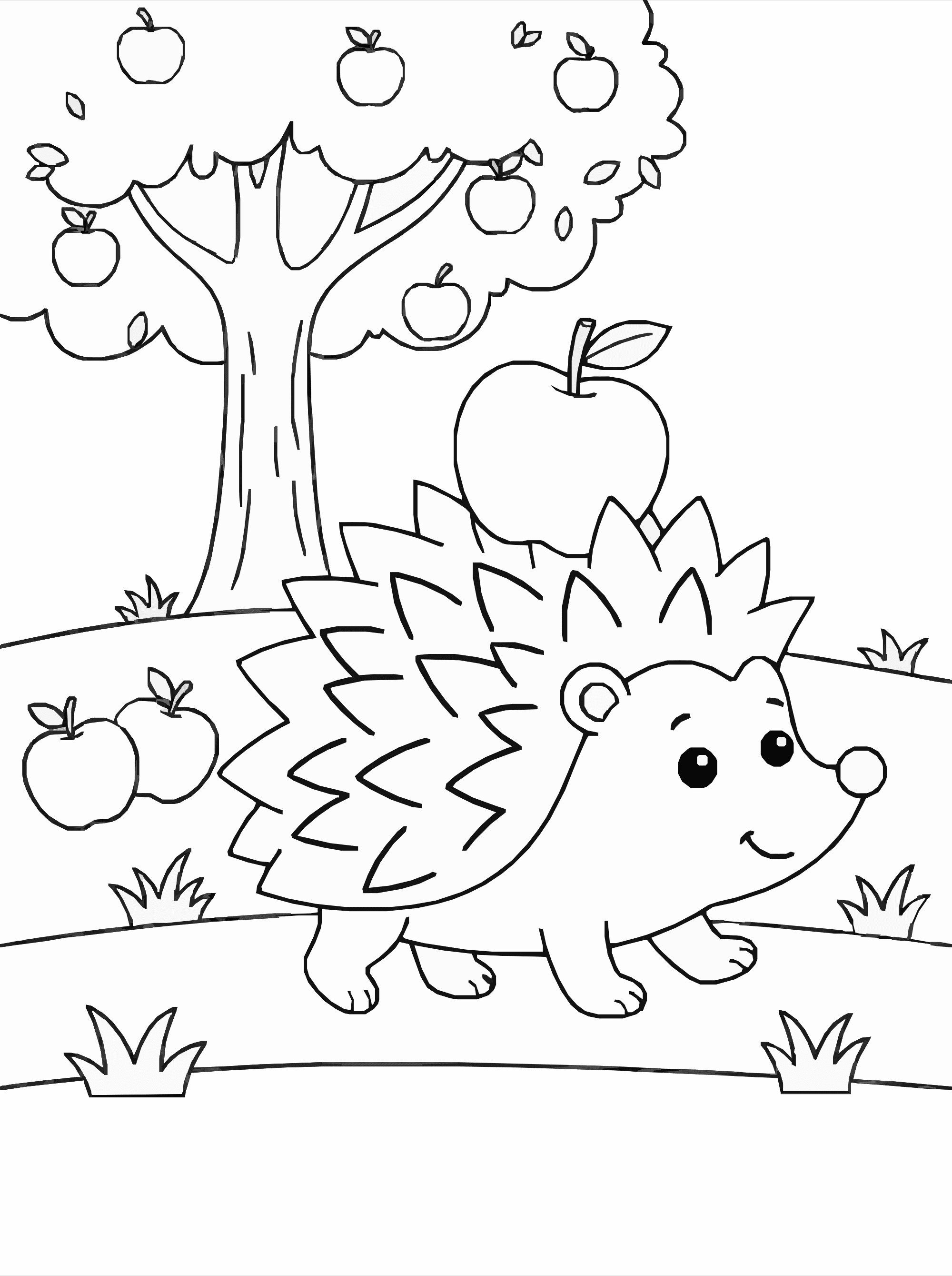 Hedgehog Coloring Page – Apple Harvest Printable
