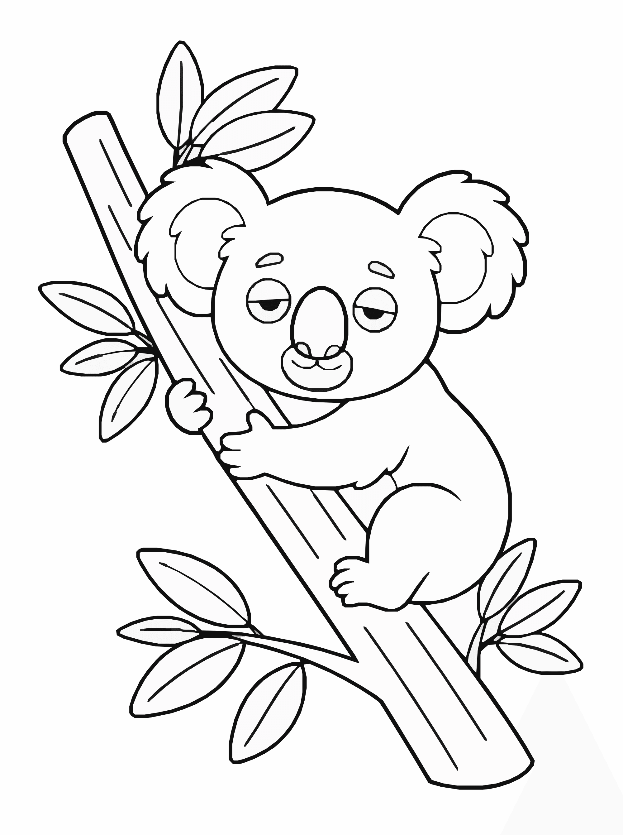 Koala Coloring Page – Sleeping on Eucalyptus Branch Printable