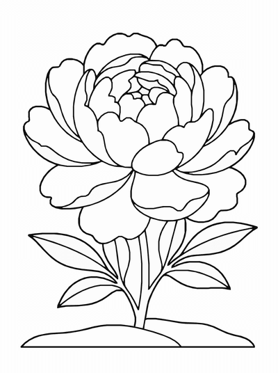 Free printable Peony Flower Coloring Page coloring page