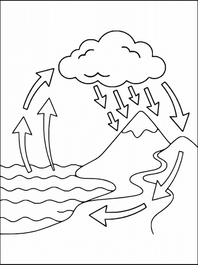 Free printable Water Cycle Coloring Page – Science Diagram Printable for Kids coloring page