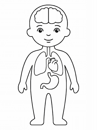 Free printable Human Body Coloring Page – Kids Anatomy Diagram Printable coloring page